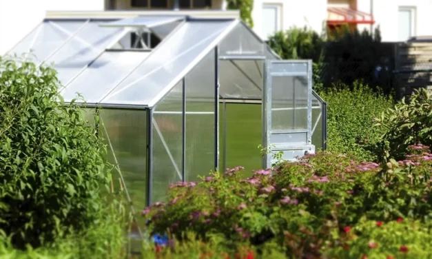 Üvegház – folyamatos termést biztosít és a kert dísze lehet