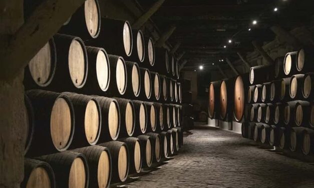 Borospince – ahol a bor otthon érzi magát