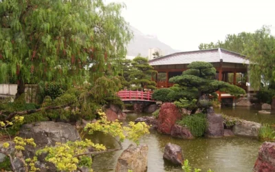 Szimbólumok és harmónia vonzásában – a japánkert