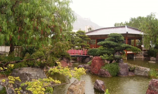 Szimbólumok és harmónia vonzásában – a japánkert
