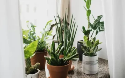Ablakpárkány – funkció, védelem, design és inspiráció