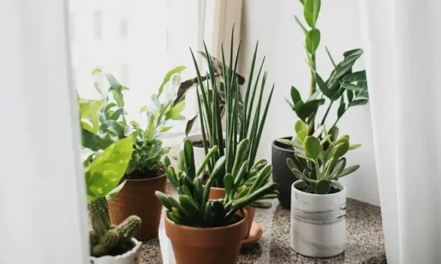 Ablakpárkány – funkció, védelem, design és inspiráció